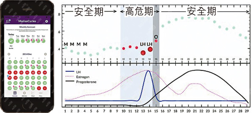 安全期app避孕求孕靠得住