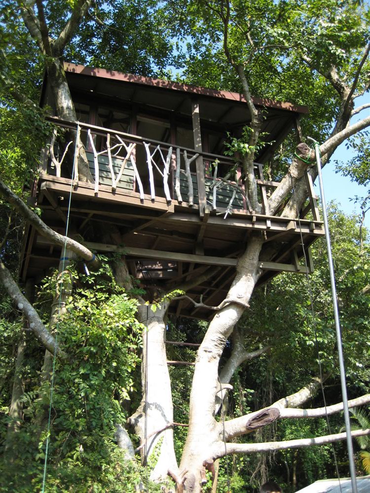 親子秋日樂　樹屋餐廳