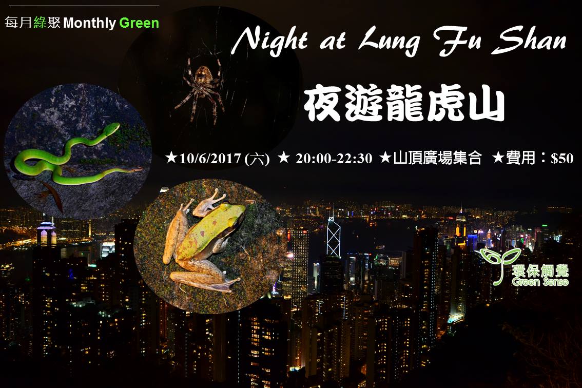 環保觸覺—6月夜遊龍虎山