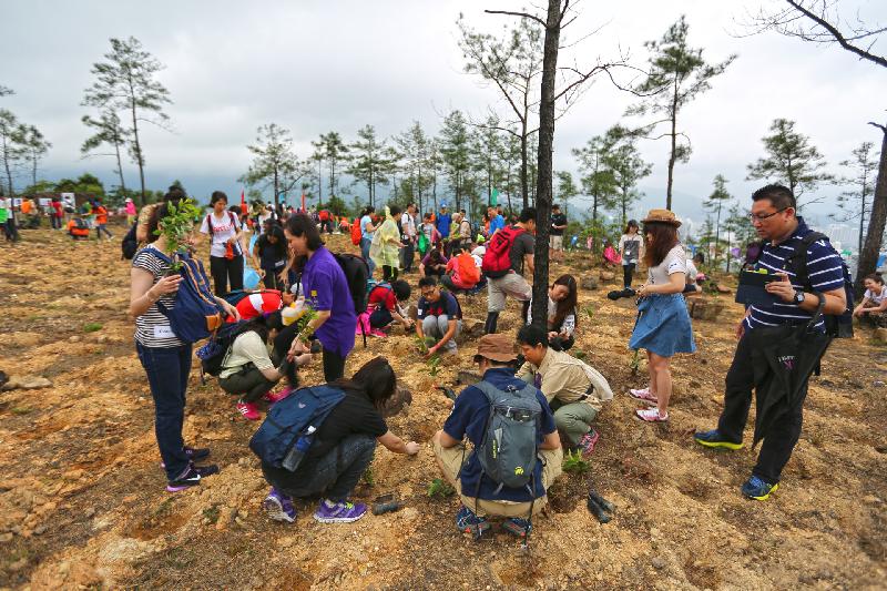 郊野公園遠足植樹日2019