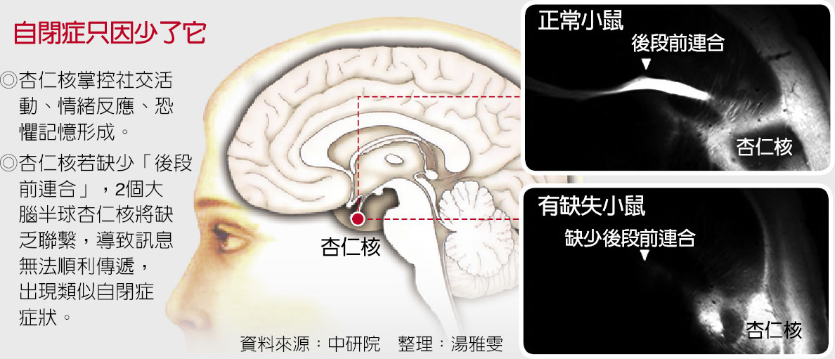 SCERTS教學助自閉童紓情緒